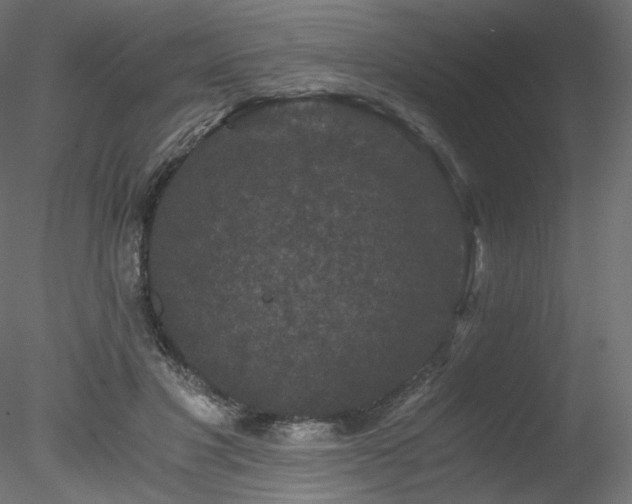 X0000078280501200611031212