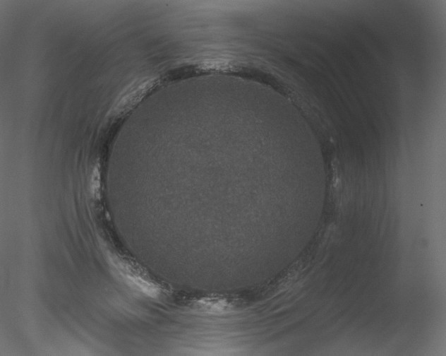 X0000078280502200611031212