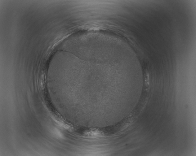 X0000078280503200611031212