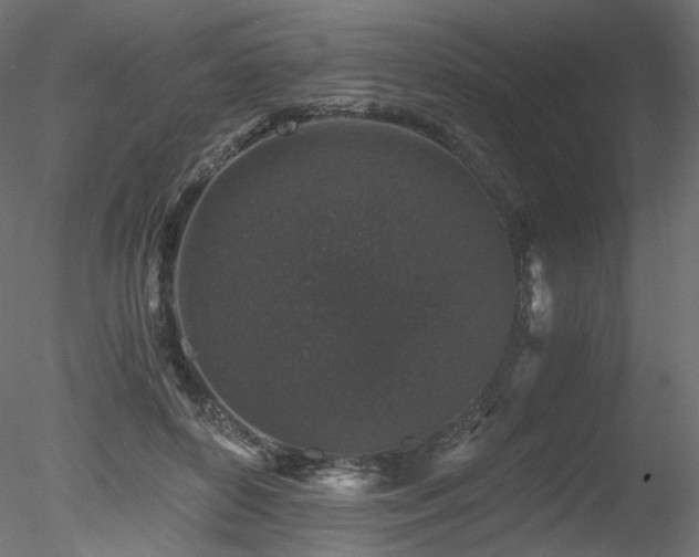 X0000078280504200611031212