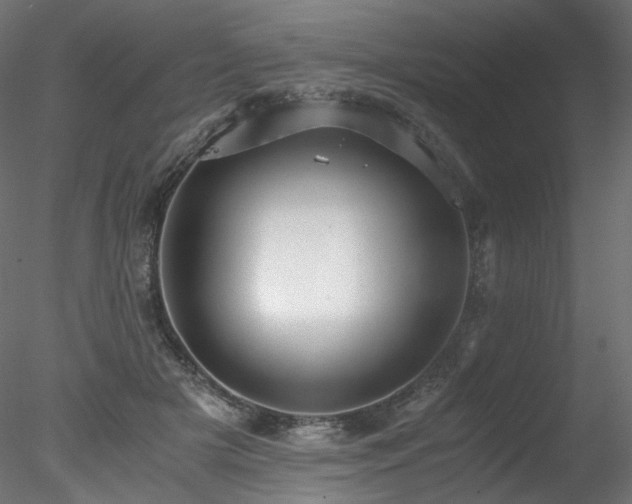 X0000078280505200611031212