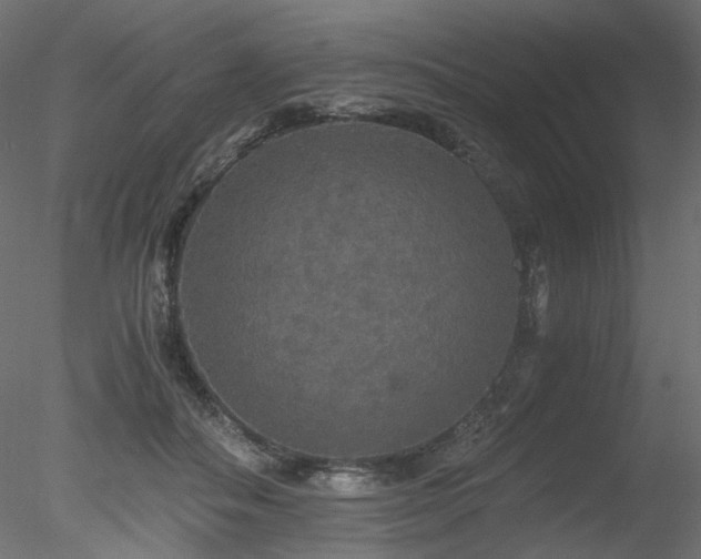 X0000078280506200611031212