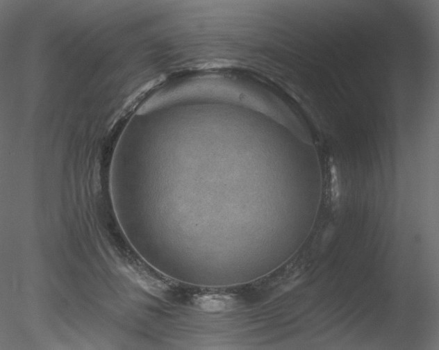 X0000078280508200611031212