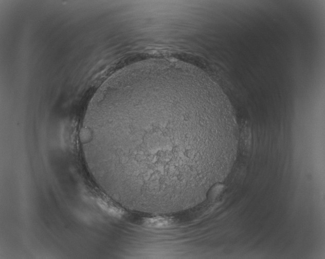 X0000078280511200611031212