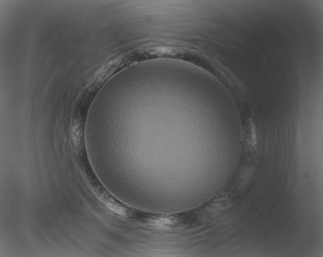 X0000078280513200611031212