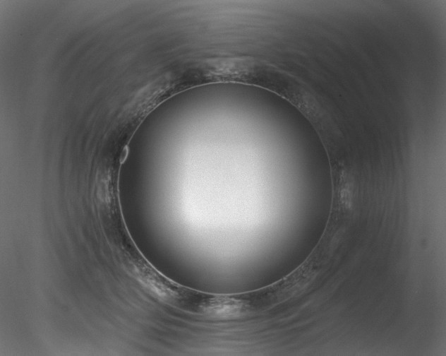 X0000078280514200611031212