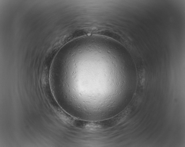 X0000078280515200611031212