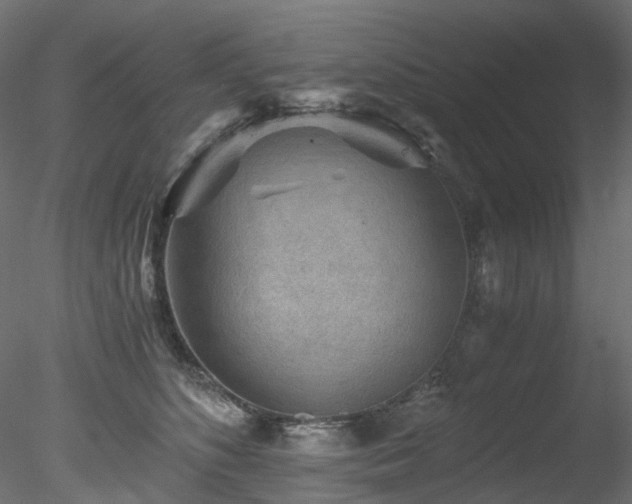 X0000078280516200611031212