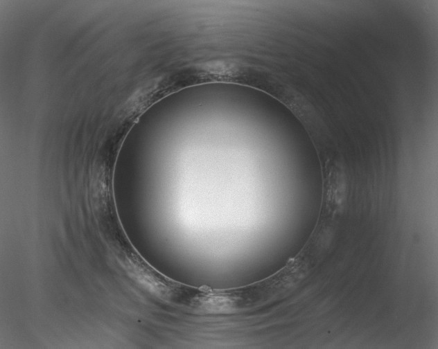 X0000078280518200611031212