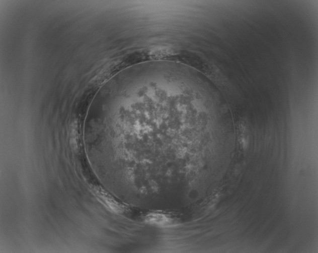 X0000078280519200611031212