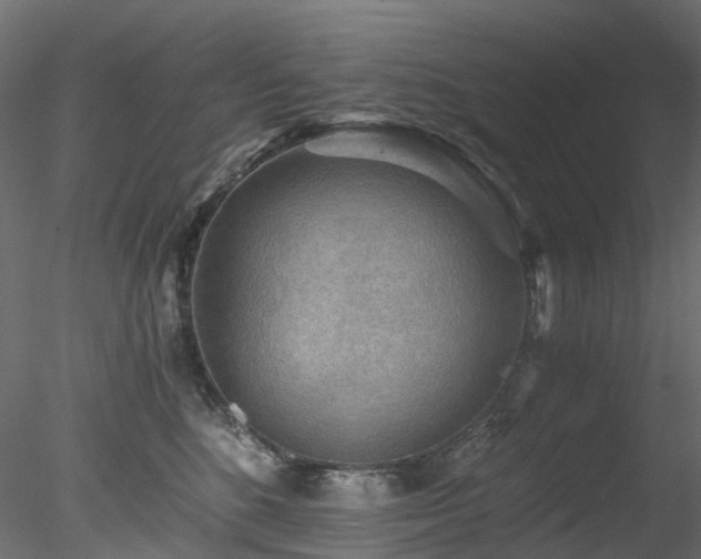 X0000078280520200611031212