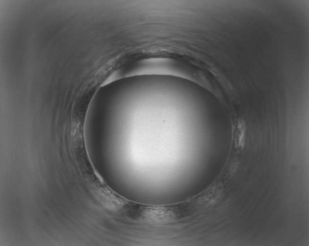 X0000078280521200611031212