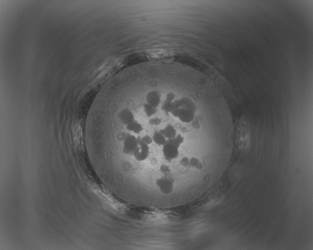 X0000078280523200611031212