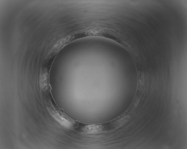 X0000078280526200611031211