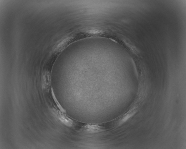 X0000078280528200611031211