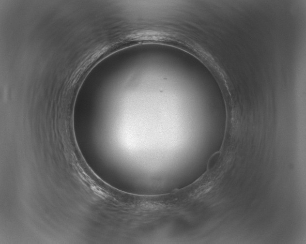 X0000078280529200611031211