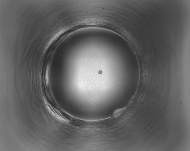 X0000078280530200611031211