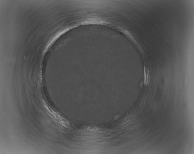 X0000078280531200611031211