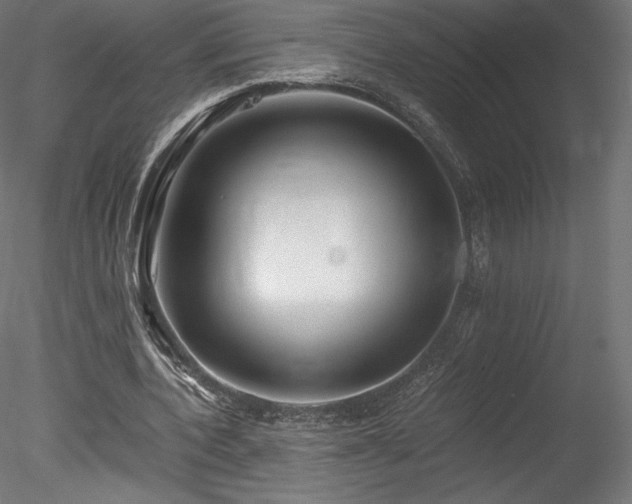 X0000078280532200611031211