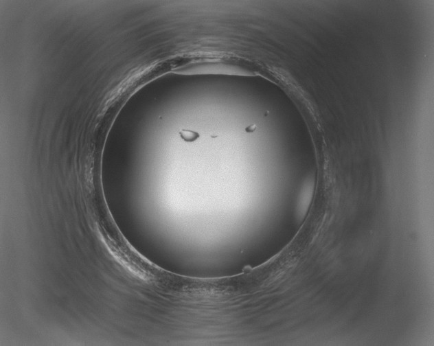 X0000078280533200611031211