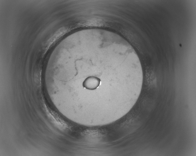 X0000078280534200611031211