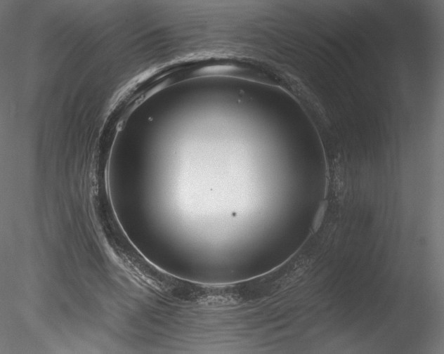 X0000078280536200611031211