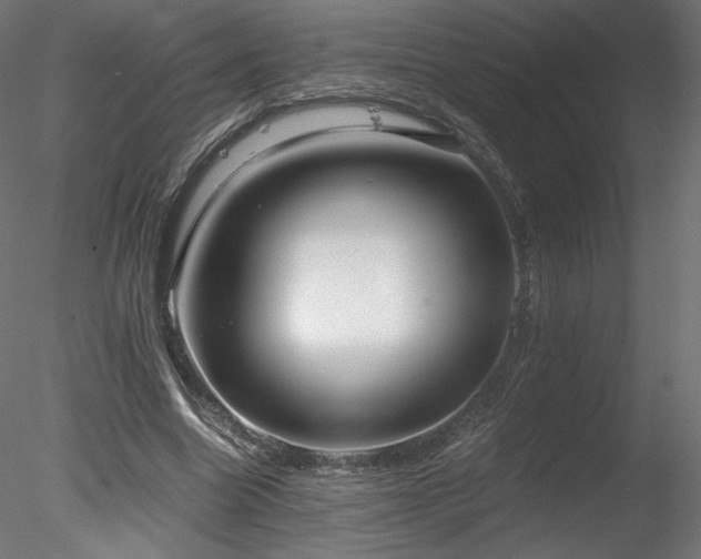 X0000078280538200611031211