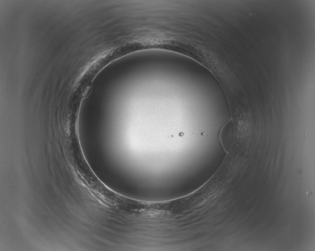 X0000078280539200611031211