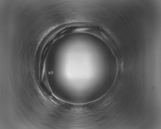 X0000078280540200611031211