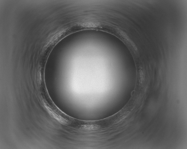 X0000078280541200611031211