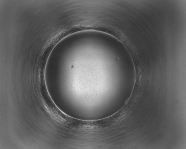 X0000078280542200611031211