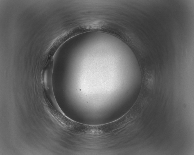 X0000078280543200611031211