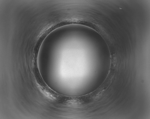 X0000078280544200611031211