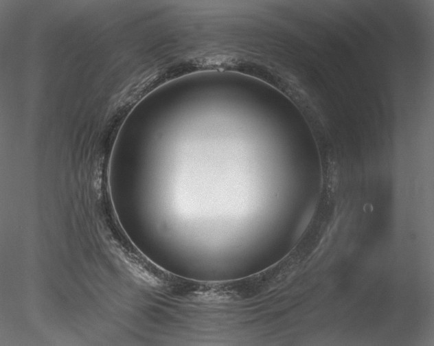 X0000078280545200611031211