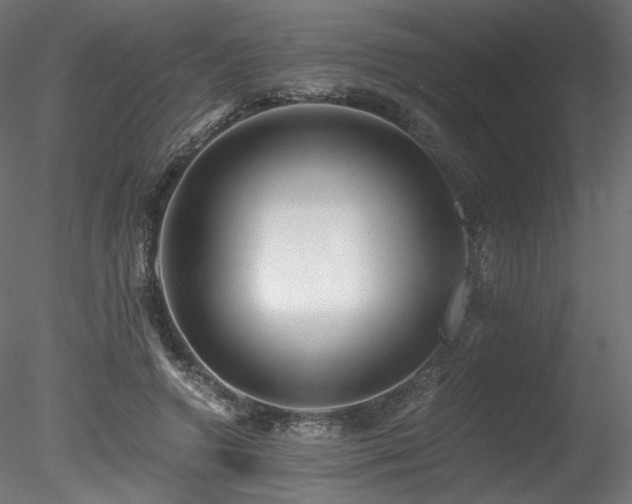 X0000078280546200611031211