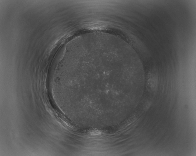 X0000078280547200611031211