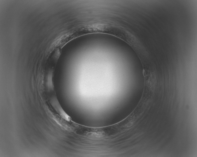 X0000078280548200611031211