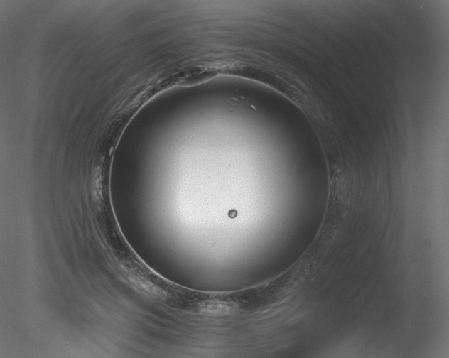 X0000078280549200611031211