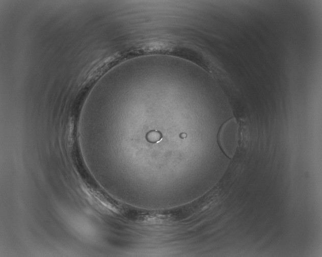 X0000078280550200611031211