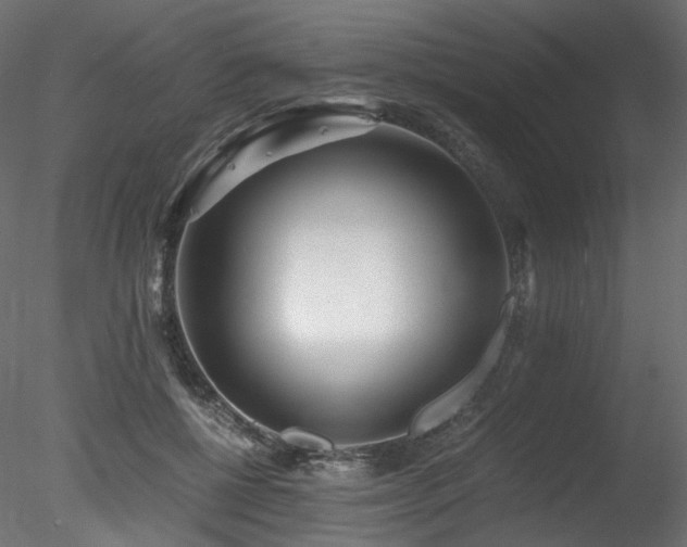 X0000078280552200611031211