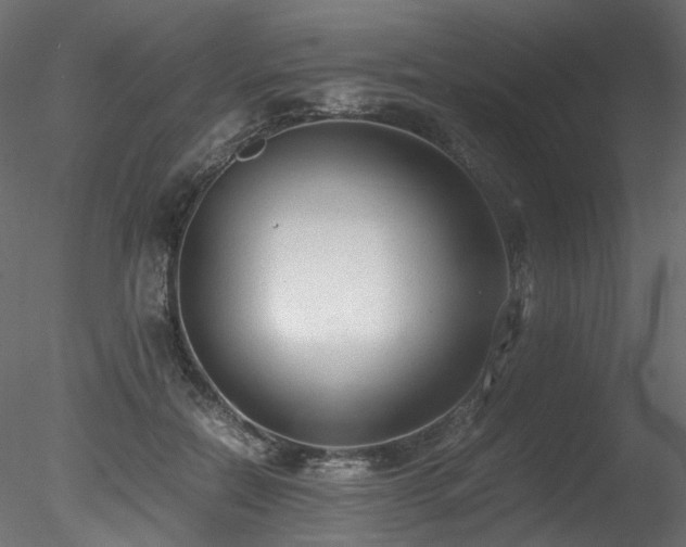 X0000078280554200611031211