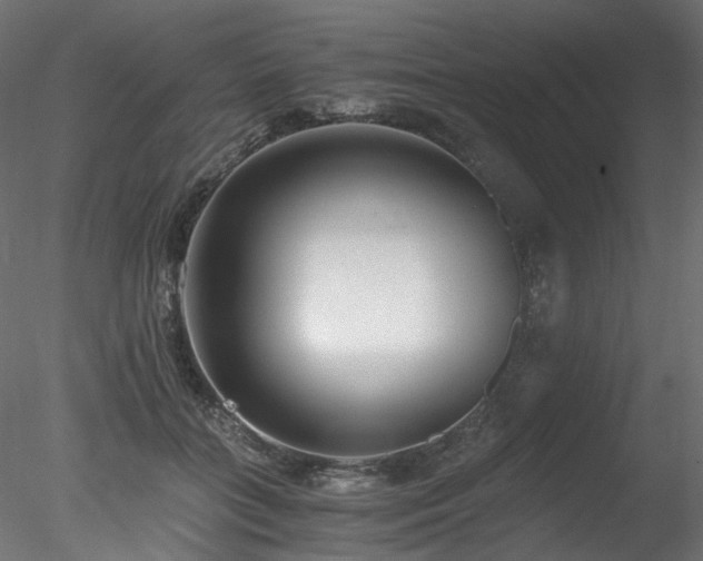 X0000078280555200611031211