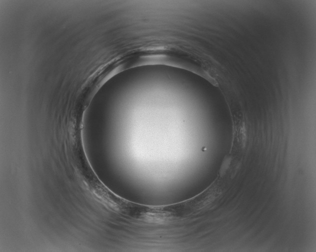 X0000078280556200611031211