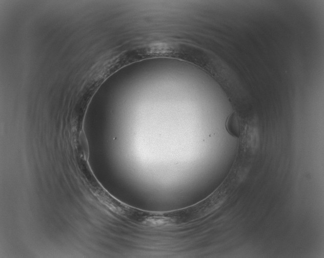 X0000078280557200611031211