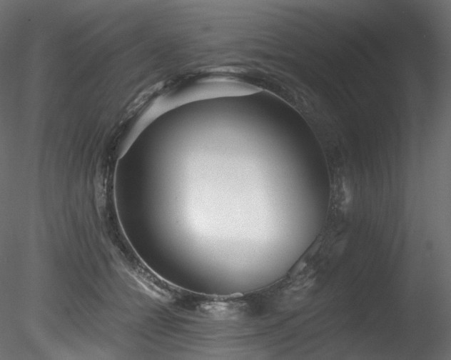 X0000078280558200611031211