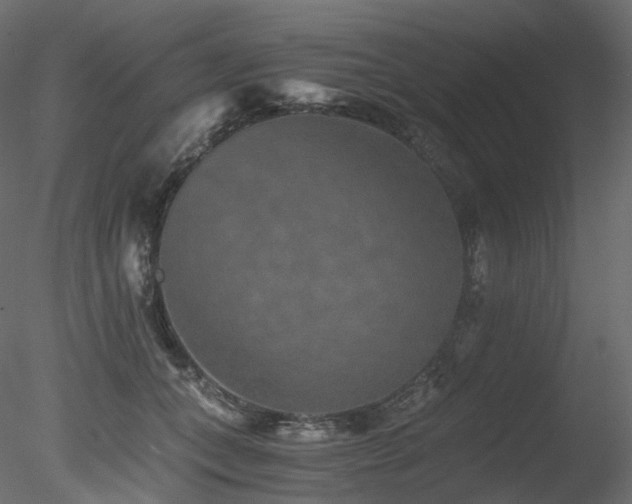 X0000078280559200611031211