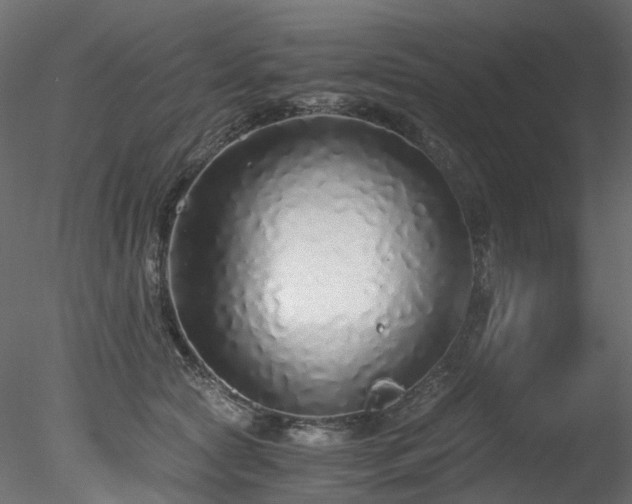 X0000078280561200611031211