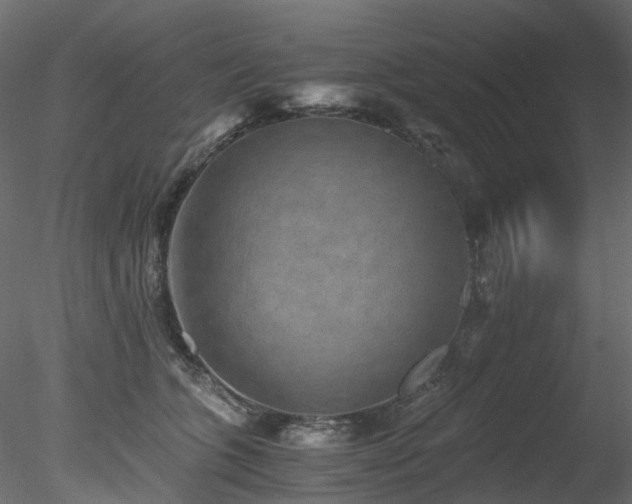 X0000078280563200611031211