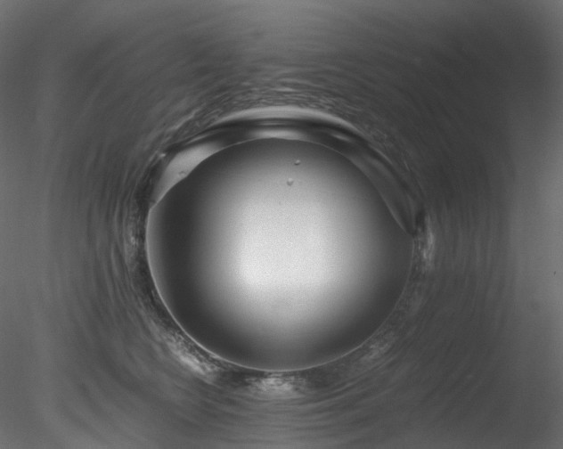 X0000078280566200611031211