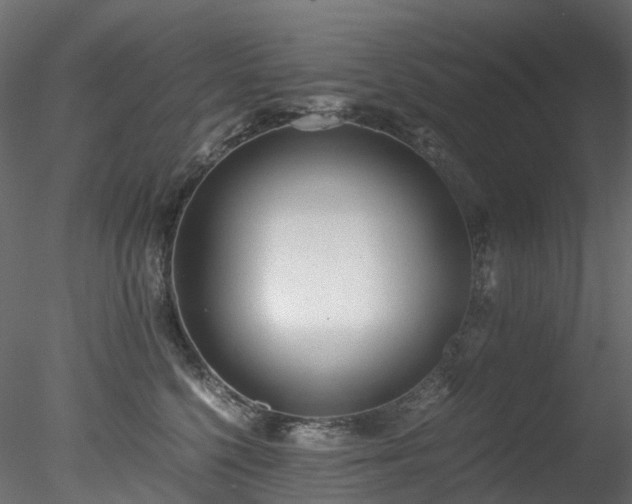 X0000078280568200611031211